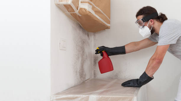 Professional Attic Mold Remediation technician working in Lindenhurst, IL